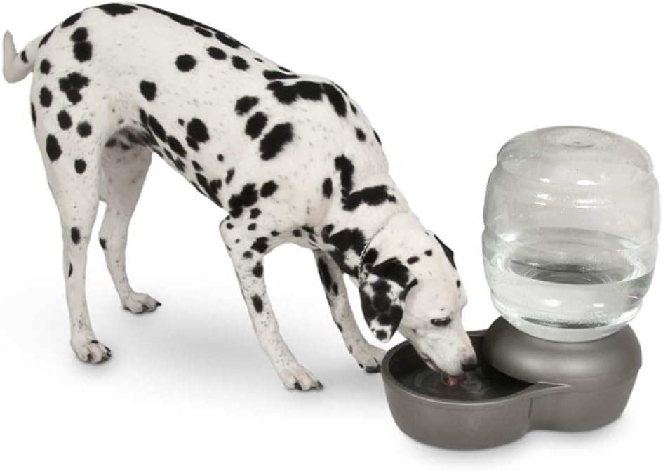 Pet Supplies : Petmate Replendish Gravity Waterer With Microban for Cats and Dogs, 4 Gallons : Pet Self Waterers : 