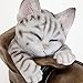 Bits and Pieces - Cat in A Shoe Polyresin Garden Sculpture - Decorative Yard Art Accent for Outdoors Lawn and Patio Décor, Backyard Sculpture, and Decoration