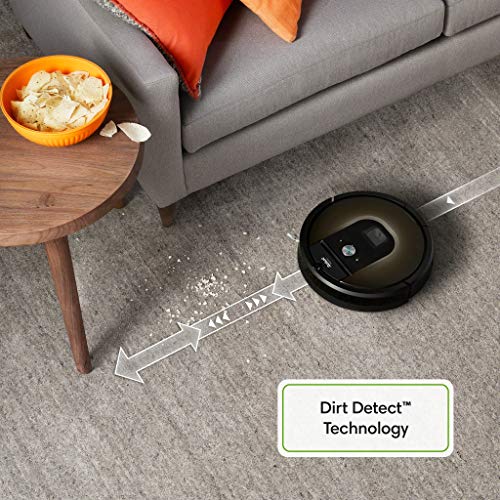 iRobot Roomba 980 Robot Vacuum- Wi-Fi Connected Mapping, Works with Alexa, Ideal for Pet Hair, Carpets, Hard Floors