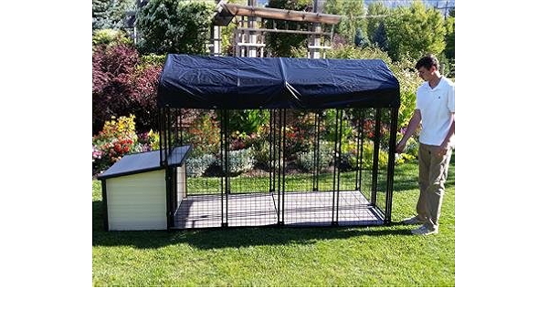 4x8 dog house