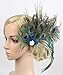 Women Girls Peacock Feather Hair Clip Retro Wedding Carnival Party Hairpin One Size