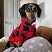 KOOLTAIL Plaid Cat Hoodie Pet Clothes Sweater with Hat and Pocket for Small Dogs Puppy Cats, Soft Winter Warm Dog Cold Weather Coat, Fleece Fall Dog Hooded Sweatshirt with Leash Hole, Christmas Red XS