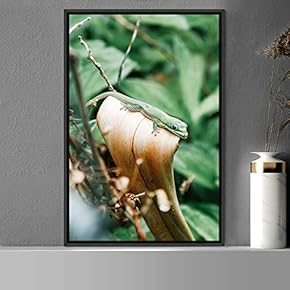 signwin Framed Canvas Wall Art Reptile Contemporary Dramatic...