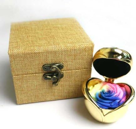 Neilshop Handmade Preserved Rose Flowers, Never Withered Fresh Rose Fresh Flowers Eternal Life Flowers Gift Valentine's Day, Mother's Day, Anniversary, Birthday, wedding -colorful