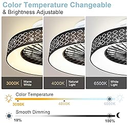 DLLT Remote Ceiling Fan with LED Light-30W Small
