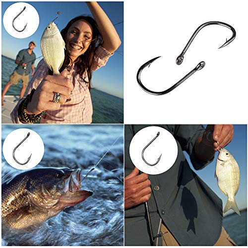 Robell Crochets De Pêche, 500 Pcs Hameçons De Pêche Barbelé D’acier Au Carbone, Hameçon à Carpe Avec Boîte Plastique(10 Tailles)