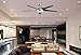 Windward IV 52 in. LED Indoor Brushed Nickel Ceiling Fan with Light Kit and Remote Control