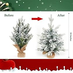 Diahom Tabletop Christmas Tree Artificial Mini