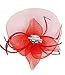 Urban CoCo Women's Vintage Flower Feather Mesh Net Fascinator Hair Clip Hat Party Wedding (Red)