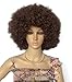 Fluffy Short Afro Wigs Synthetic Unisex Anime Cosplay Funny Fancy Wig for Crazy Party (Brown)