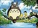 Diy oil painting, paint by number kit- My Neighbor Totoro 1620 inch.