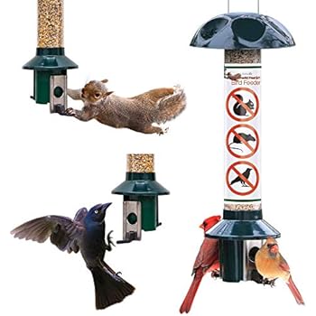 Amazon Com Squirrel Buster Standard 5 X5 X21 5 W Hanger Wild