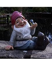 Amazon.es: Gnomos - Esculturas y estatuas de jardín: Jardín