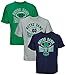 NCAA Mens Notre Dame Football Logo Tee