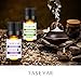 TASEYAR Essential Oil Set of 6, Therapeutic Grade Aromatherapy Secented Essential Oil Gift Set (Lavender, Tea Tree, Eucalyptus, Peppermint, Lemongrass and Sweet Orange), 10ml/Bottle