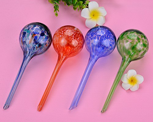 1 Watering+Globes+Fascigirl+Plant+Automatic