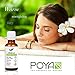 Cinnamon Leaf Essential Oil 30 ml (1 fl. Oz.) - GCMS Tested, 100% Pure, Undiluted and Therapeutic Grade
