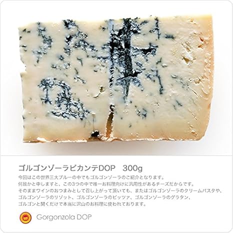 ブルーチーズ 賞味期限切れ 未開封