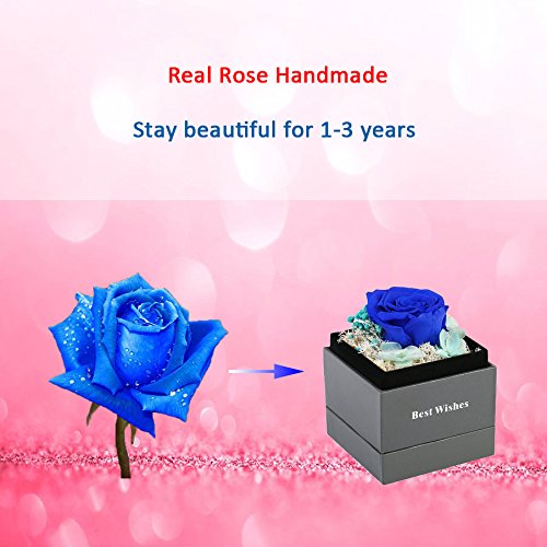 Handmade Preserved Flower Rose - Preserved Fresh Flower Eternity Rose, Never Withered Real Rose, Gift for Valentine's Day, Mother's Day, Thanksgiving Day, Christmas, Birthday, Anniversary (Blue)