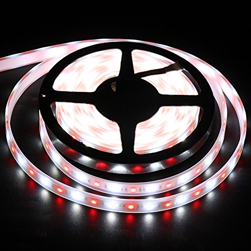 XUNATA 12V 10m/33ft 600 Units SMD 5050 Flexible Color Changing Waterproof LED Strip Lights Kit with 40 Key IR Remote Control and Power Supply(RGB+Warm White)