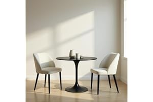 Aykah Capri Dining Chairs Set of 2, Modern Upholstered Dining Room Kitchen Side Chair with Metal Legs, Space Saving, Easy to 