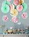PAPER JAZZ Easter Party Home Baby Shower Birthday Spring Party Decoration Photo pros Booth Back Drop kit with Paper Fan Pompom Flower Honeycomb Ball Bird Peeps Hanging Decoration (Bird Fan)