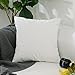 Home Brilliant Ultra Soft Velvet Solid Decorative Throw Pillowcase Cover Euro Sham for Baby Sofa Living Room, 60 x 60cm(24 inches), White