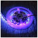 AMARS Black Lights LED Strip, DC12V 24W 5050 SMD 2M/6.6FT 390nm-405nm Flexible Blacklights Fixture