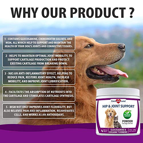 Glucosamine for Dogs and Cats Hip and Joint Support for Dogs and Cats with Organic Turmeric