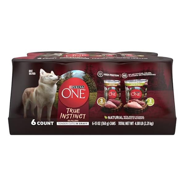 PURINA ONE NATURAL SMARTBLEND TRUE INSTINCT TENDER CUTS GRAVY WET DOG FOOD VARIETY PACK, 13 OZ., COUNT OF 6