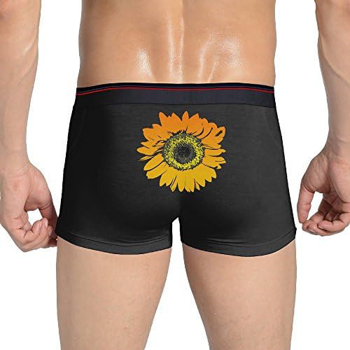Sun Flower Art Men Screen Print Graphic Collection Boxer Brief Underpants