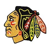 Chicago Blackhawks Logo I Embroidered Iron Patches
