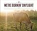 We're Burnin' Daylight by 