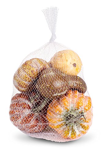 Melrose International Pumpkin Gourd Autumn Multicolored 4 inch Foam Harvest Figurines Bag Set of 6