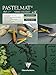 Clairefontaine Pastelmat Pad Light and Dark Shades 360 Gram 7x9.5 Inch (18x24 Centimeter), 12 Sheets
