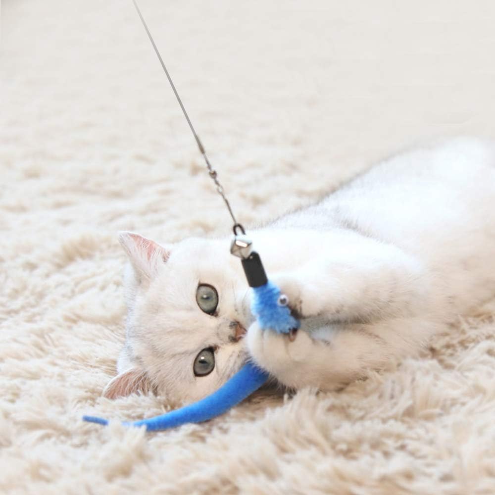 M JJYPET Cat Wand Toy Replacement Refill, 10 Packs Cat Worm Toy, Assorted Teaser Refills with Bell for Cat, Kitten : Pet Supplies