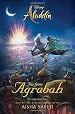 Aladdin: Far from Agrabah