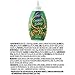 Wilton 2109-8429 Green Holiday Icing Multipack, Assorted
