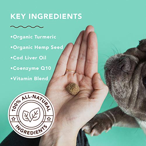 Natural-Dog-Company-Multivitamin-Supplement-with-Turmeric-and-Fish-Oil-35-Essential-Vitamins-Nutrients-Immune-System-Skin-Coat-and-Hip-Joint-Support-Duck-Sweet-Potato-Flavor-90-Chews