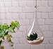 Beauto Pack of 2 Indoor Outdoor Hanging Glass Candle Holders Hanging Succulent Plant Pots Glass Hanging Planters Glass Plant Containers Hanging Flower Pots Hanging Air Plant Pots Hanging Terrariums