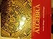 Intermediate Algebra Concepts and Applications By Marvin L. Bittinger Eigth Edition City College of San Francisco Edition by Marvin L. Bittinger and David J. Ellenbogen 1256812978 Book Cover
