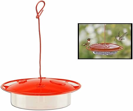 Amazon Com Heath 8 Oz Hummingbird Feeder Saucer Hummingbird
