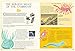 Continental Drift: The Evolution of Our World from the Origins of Life to the Far Future (Blueprint Editions)