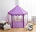 Pericross Snowflake Veil Hexagon Princess Play Tent with Aluminum Alloy Frame and 33ft 100 Diodes AA Battery Powered Brass Wire Lights (Violet)
