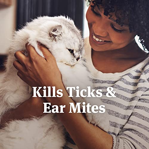 PETARMOR EAR MITE TREATMENT FOR CATS, EAR MITE MEDICINE KILLS TICKS AND EAR MITES TO RELIEVE ITCHINESS, EAR MITE DROPS SOOTHS EARS WITH ALOE, 3OZ