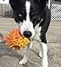 Puffer Fish Dog Toy. 100% natural rubber (latex). Lead-free & chemical-free. Complies to same safety standards as children’s toys. Soft, unstuffed & squeaky. Handmade in Morocco.