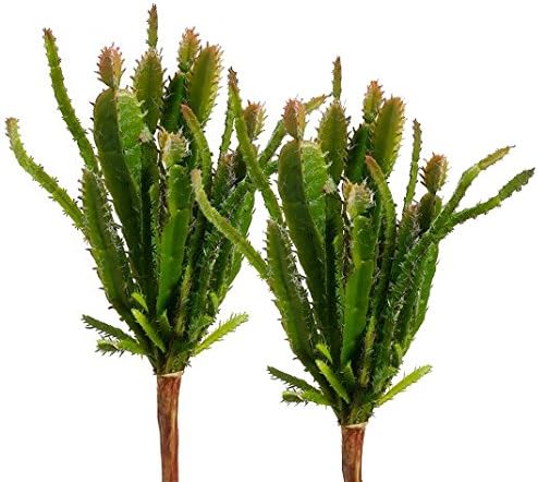 2 X 5.5" Cacti, Artificial Plants