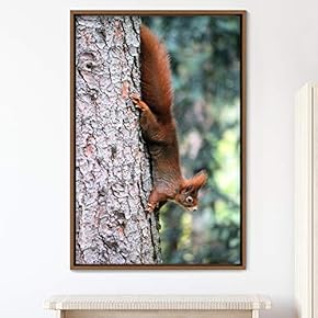 signwin Framed Canvas Wall Art Squirrel Animals Fun...