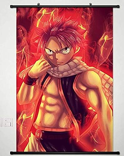 OWNG Wall Scroll Poster Fabric Painting For Anime Fairy Tail Natsu Dragneel 207 S