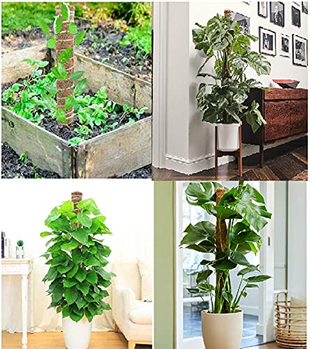 33 Inch Moss Pole(2PCS) - Totem Moss Poles for Climbing Plants - Coco Coir Moss Totem Poles Plant Stakes Coir Moss Stick - Support Climbing Indoor Plants to Grow Upwards